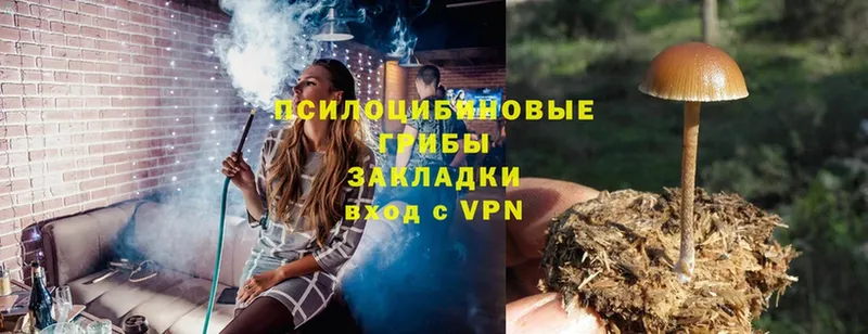 Галлюциногенные грибы GOLDEN TEACHER  Новороссийск 